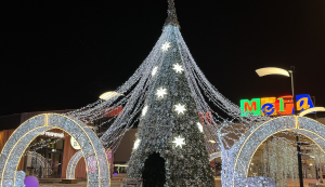 Новогодняя "Мега". Н.Новгород. 09.12.2023