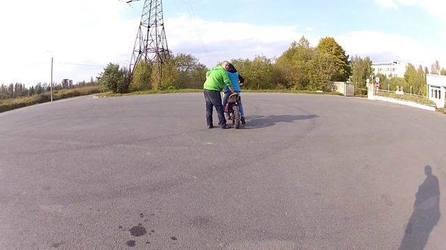 Мото Будни, (Part.54) Обучение езды на мото (19.09.14) смотреть онлайн