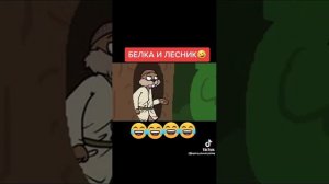 крутые видео про животных видео с матами(4)