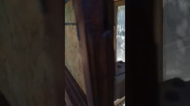 Летний курятник с гнëздами смотреть онлайн