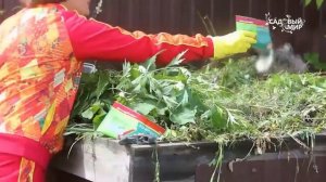 Ускоритель компоста   Доктор Робик 209