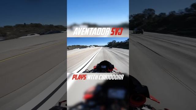 Lamborghini Aventador SVJ vs Honda CBR1000RR смотреть онлайн