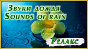 Звуки дождя Sounds of rain
