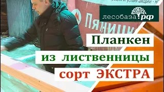 Скошенный планкен из лиственницы. Сорт Экстра. Обзор материала