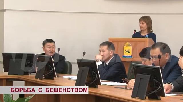 Борьба с бешенством смотреть онлайн