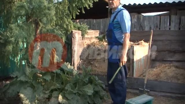 Во саду ли, в огороде 30.06.17 смотреть онлайн