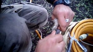 ЗАПУСК ТРОПЫ (заряд разминирования переносной ЗРП)