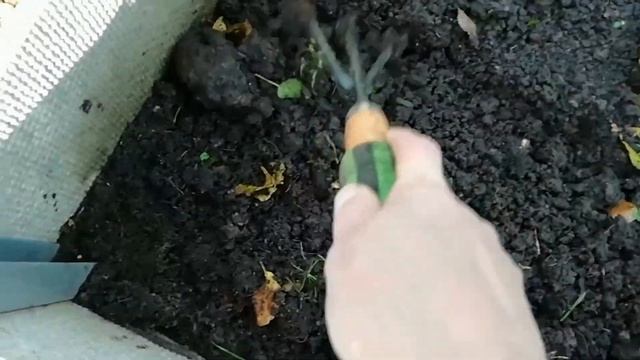 Осенняя посадка лука и чеснока. Сажаем лук-севок и чеснок под зиму смотреть онлайн