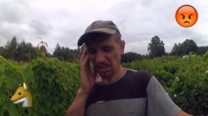 Лиса съела индюка // Почему учусь на своих ошибках // Жизнь в деревне