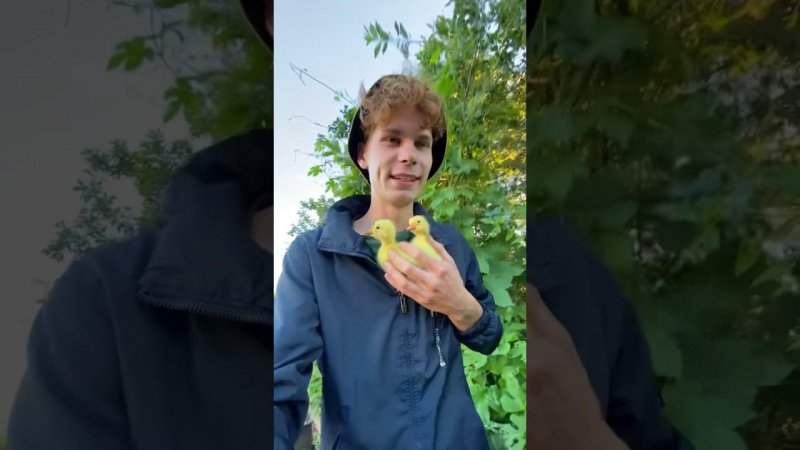 Откуда они взялись ?