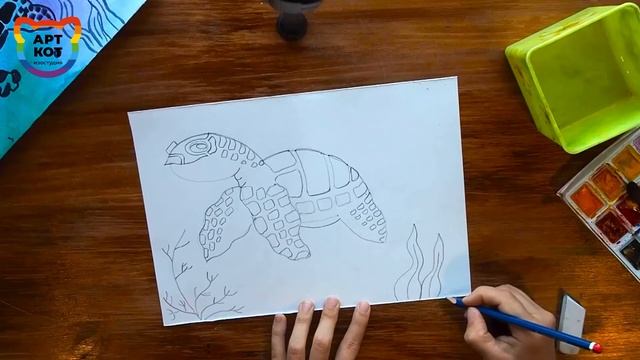 Видеоурок. Как нарисовать морскую черепаху, 8+. Изостудия АртКот