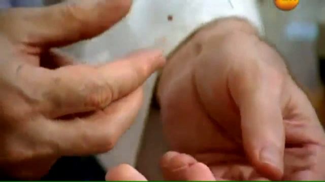 Вред сотового .Карманный киллер. смотреть онлайн