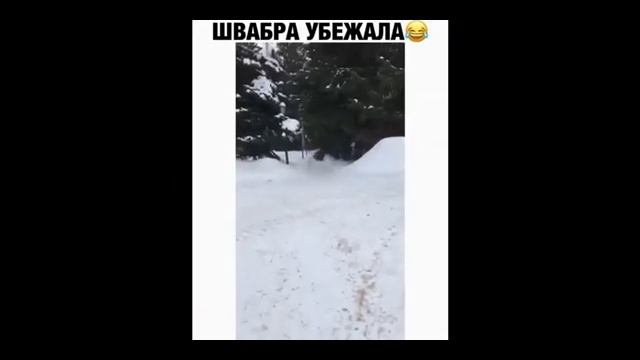 приколы 2021 ржака