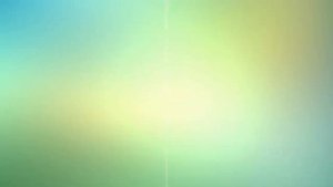 Поделки из арбуза