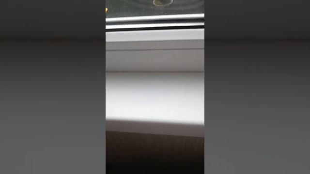 Мои серьги смотреть онлайн