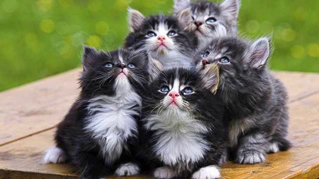 Музыка от депрессии. Улетное видео. Русская Селин Дион! смотреть онлайн