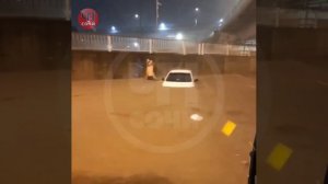 Адлер утонул ?♀️