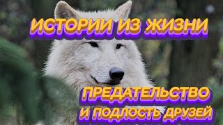 # ИСТОРИИ# ИЗ #ЖИЗНИ# ПРЕДАТЕЛЬСТВО# И# ПОДЛОСТЬ# ДРУЗЕЙ# смотреть онлайн