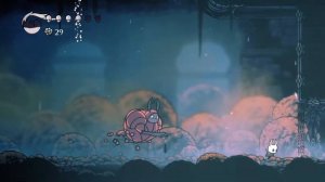 Hollow Knight-Dung Defender