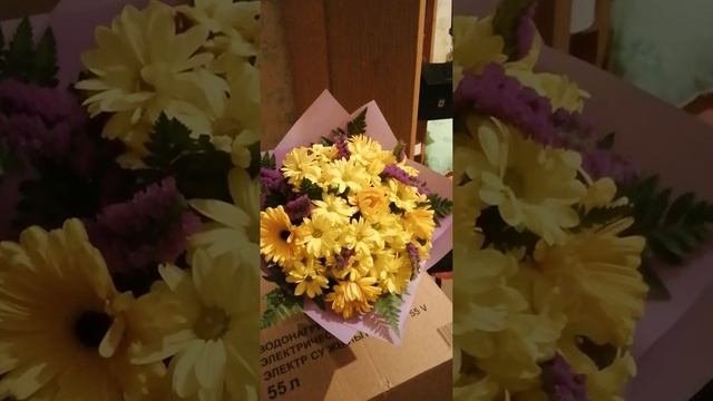 Подарили 28.03.2021
