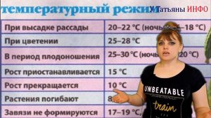 Вытянулась рассада огурцов/тыквы/кабачков/перцев, что делать? Болезни рассады.