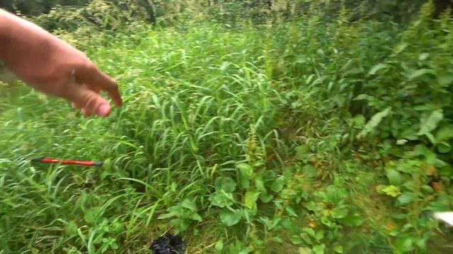 ВОТ ЭТО УЛОВ в ЛЕСНОЙ РЕЧКЕ ! Рыбалка на поплавок! смотреть онлайн