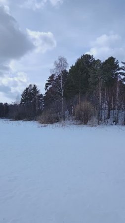Встреча с лесом
