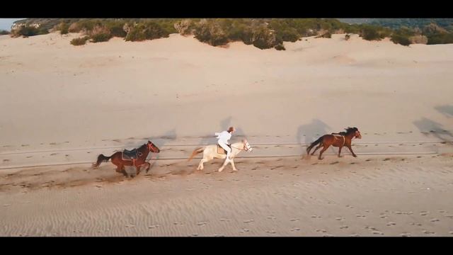 Девушка и конь уходили на дно трясины, но оставались вместе, больше трех часов они боролись смотреть онлайн