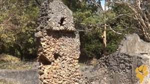 Дикая Африка. Экскурсии в Момбасе - Руины Джумба-ла-Мтвана