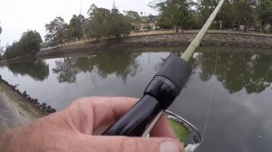 Best Lure to Catch Fish in Drains and Canals.(GULP WORMS)