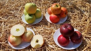 СОРТА ЯБЛОК С ДЕСЕРТНЫМ ВКУСОМ НА АВГУСТ МЕСЯЦ