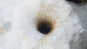 ВОТ ЭТО РЫБКА!!!ЗИМНЯЯ РЫБАЛКА//г.ВЕЛИКИЕ ЛУКИ