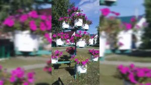 Базарный Сызган.Ульяновская область.