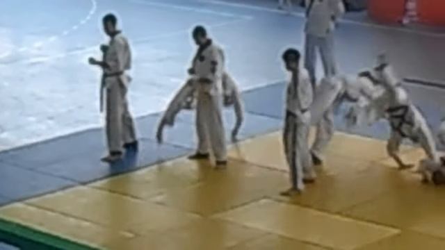 фестиваль по боевым искусствам "Хапкидо" смотреть онлайн