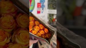 РОЗЫ ЭКВАДОР | обзор-распаковка микса эквадорских роз