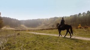 "Детский": "Удачливый Ганс"