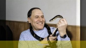 Дроздов, Николай Николаевич - Биография