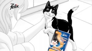 Соусы FELIX Sensations