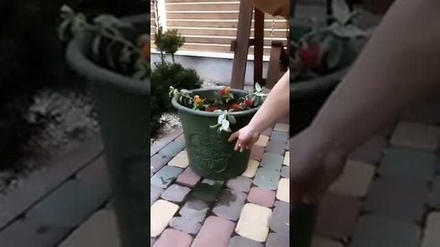Когда нужно покрывать мебель лаком |Что такое патинирование|Декор уличной мебели