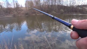 Гадюка кидаеться и выпускает яд. Опасная рыбалка среди змей