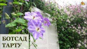 ЭСТОНИЯ / Ботанический сад в Тарту