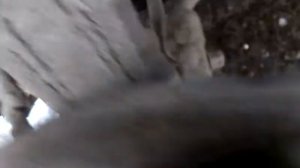 неисправность тормозного диска или биение приводного вала ваз 2110