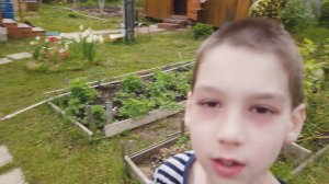 НА ДАЧЕ, ПОКУПКИ В FIX PRICE. ОГОРОД НА ПОДОКОННИКЕ. СЕМЕЧКИ НА ХАЛЯВУ