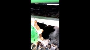 Минитрактор на гусеничном ходу для уборки снега