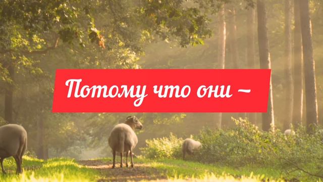 12декабря.День Конституции. А Кто Первый Создал И Утвердил Законы, Приносящие Пользу Всем и Везде?! смотреть онлайн