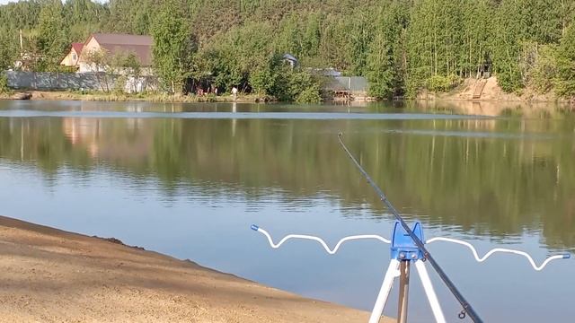 Поликарп в Пампасах смотреть онлайн