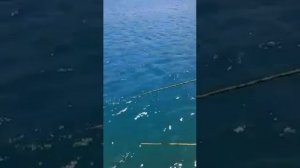 Рыбалка во Вьетнаме! Недалеко от Нячанга.