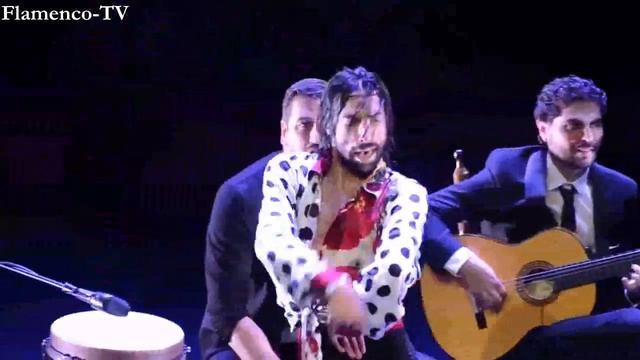 Eduardo Guerrero Bulerias de Cádiz Flamenco dance フラメンコのダンサー1 смотреть онлайн