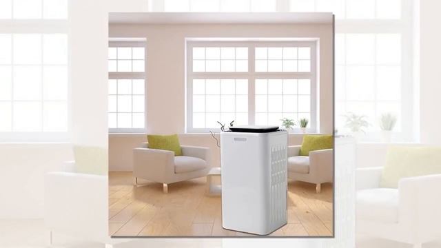 Eurgeen 30 Pint Smart Touch Screen Small Dehumidifier With Air Purify Big Water Tank смотреть онлайн