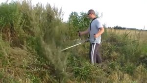 Бензиновая мотокоса STIHL FS 56